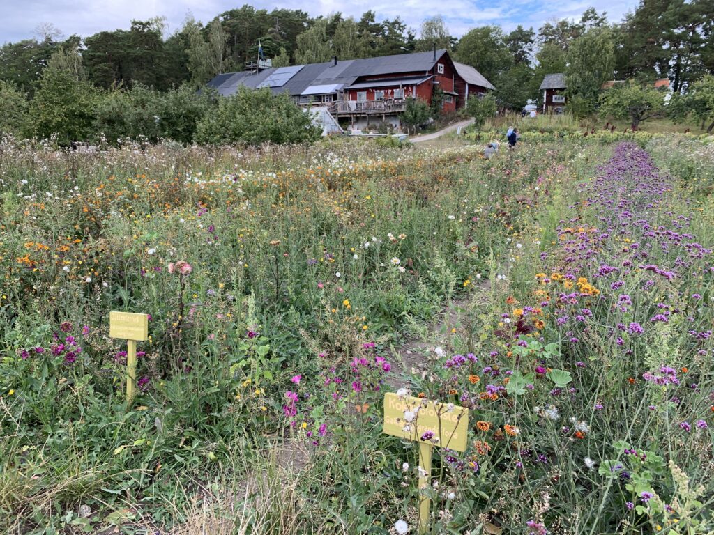 Rosenhills blomsterland