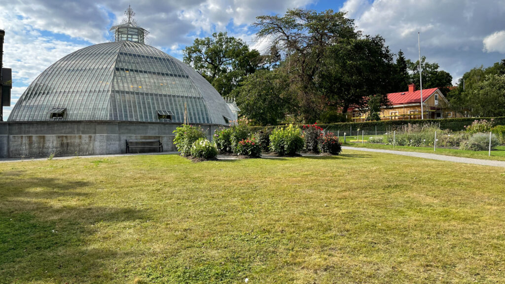 Victoria huset där de ovanliga näckrosorna finns.